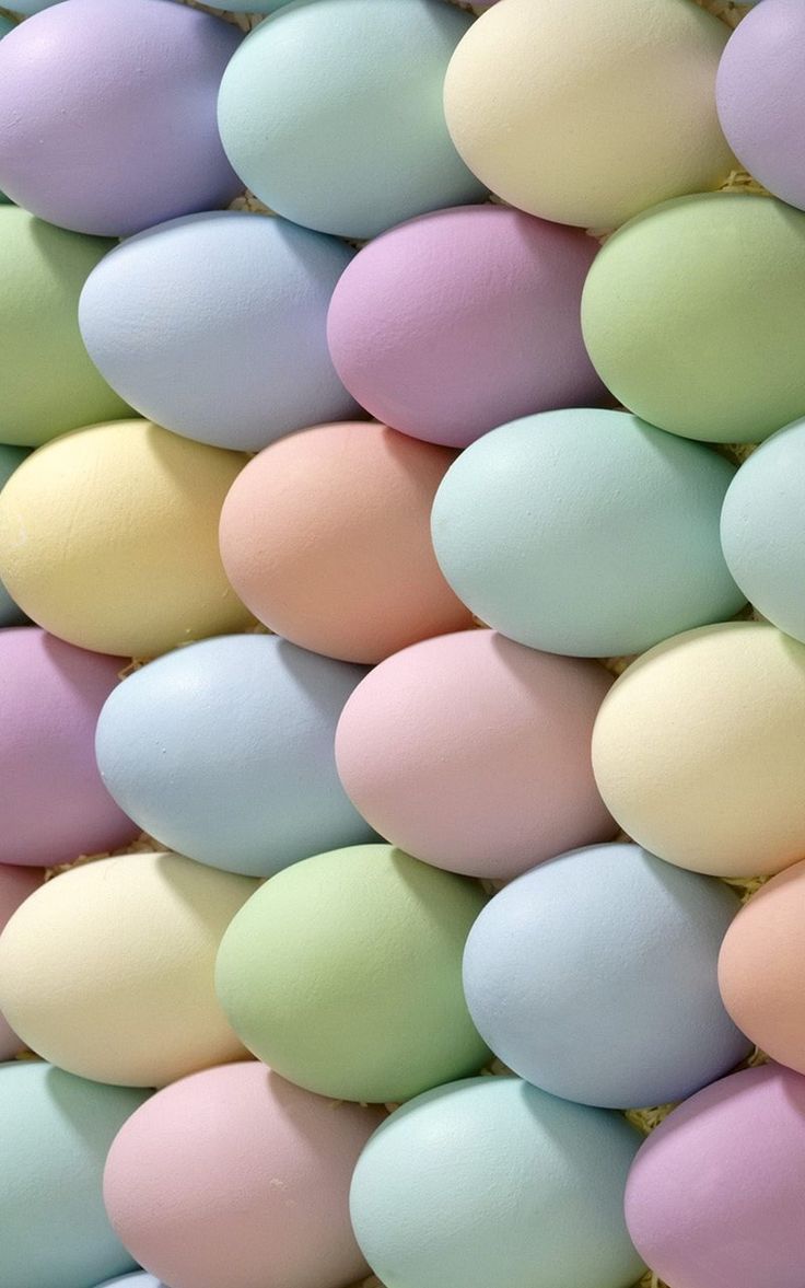 Surprise Egg