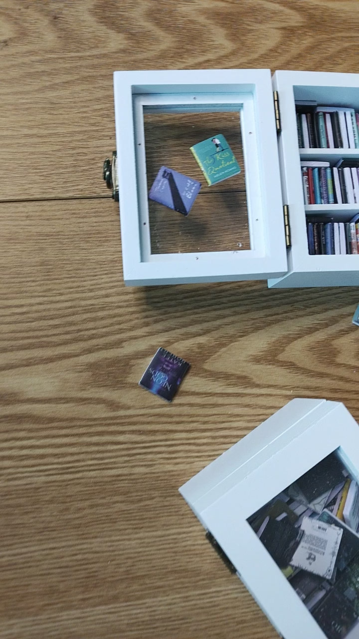Mini Anxiety Bookshelf